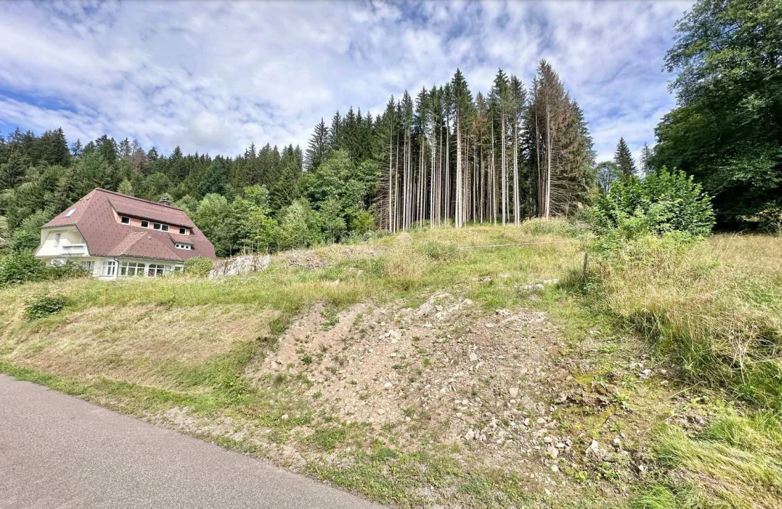  Baugrundstück in St. Blasien von Raum & Zeit Immobilien Treuhand GmbH 