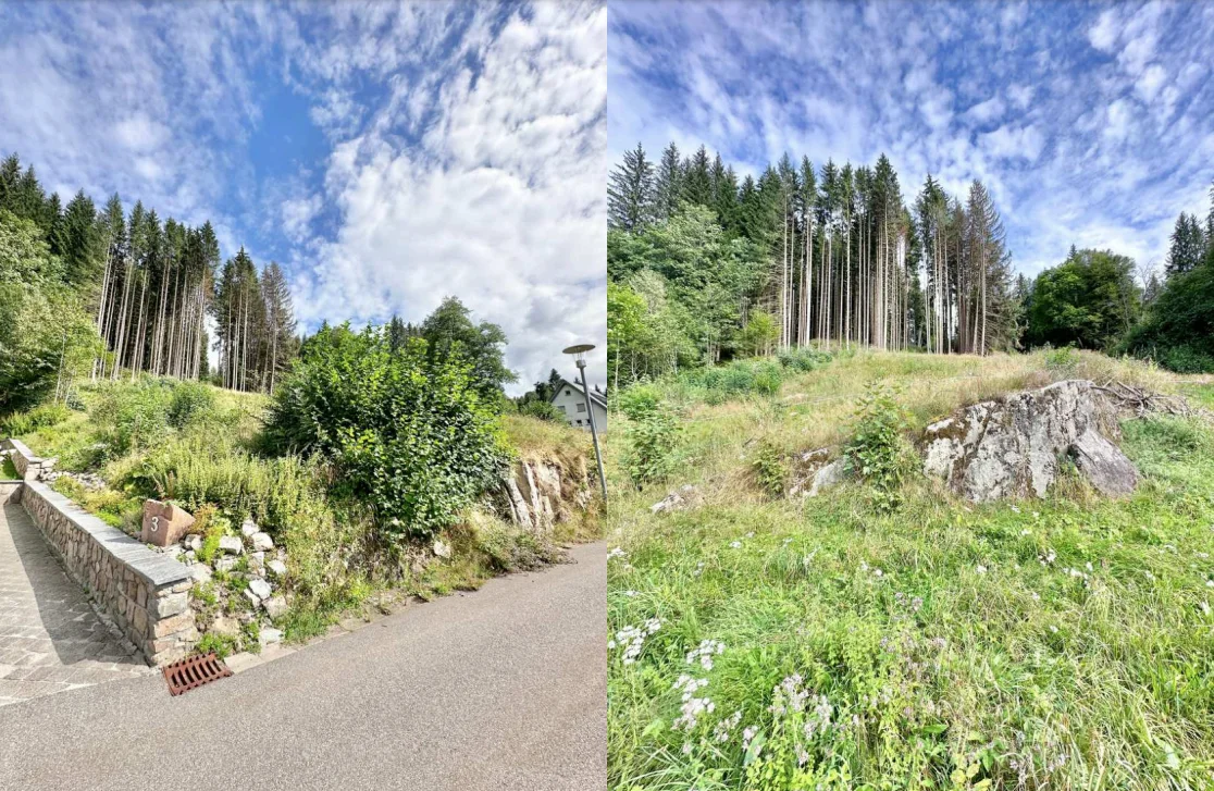  Baugrundstück in St. Blasien von Raum & Zeit Immobilien Treuhand GmbH 