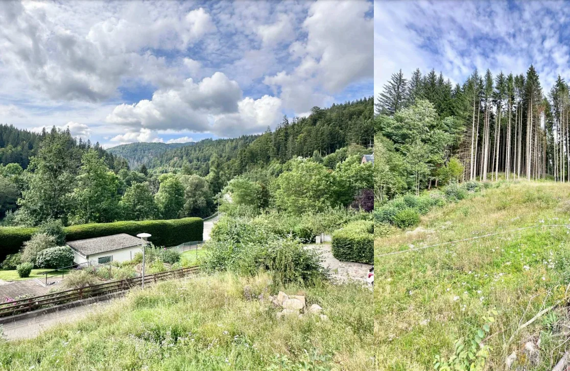  Baugrundstück in St. Blasien von Raum & Zeit Immobilien Treuhand GmbH 