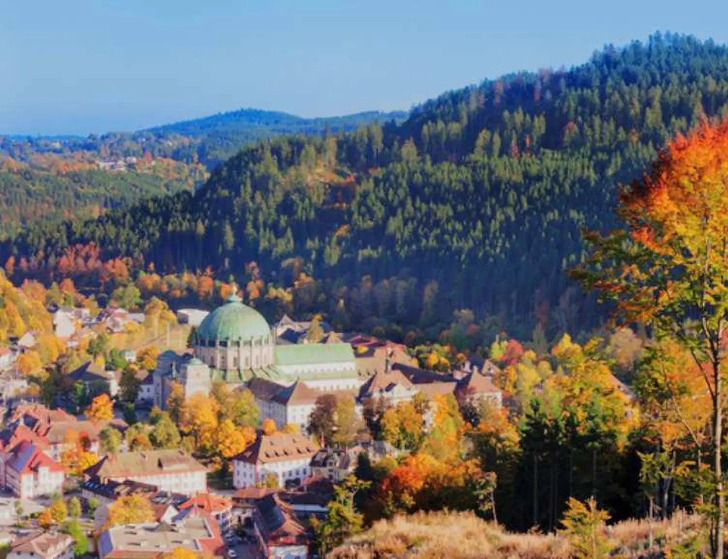  Baugrundstück in St. Blasien von Raum & Zeit Immobilien Treuhand GmbH 