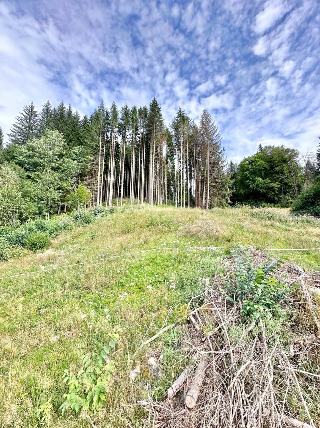 Baugrundstück in St. Blasien von Raum & Zeit Immobilien Treuhand GmbH 