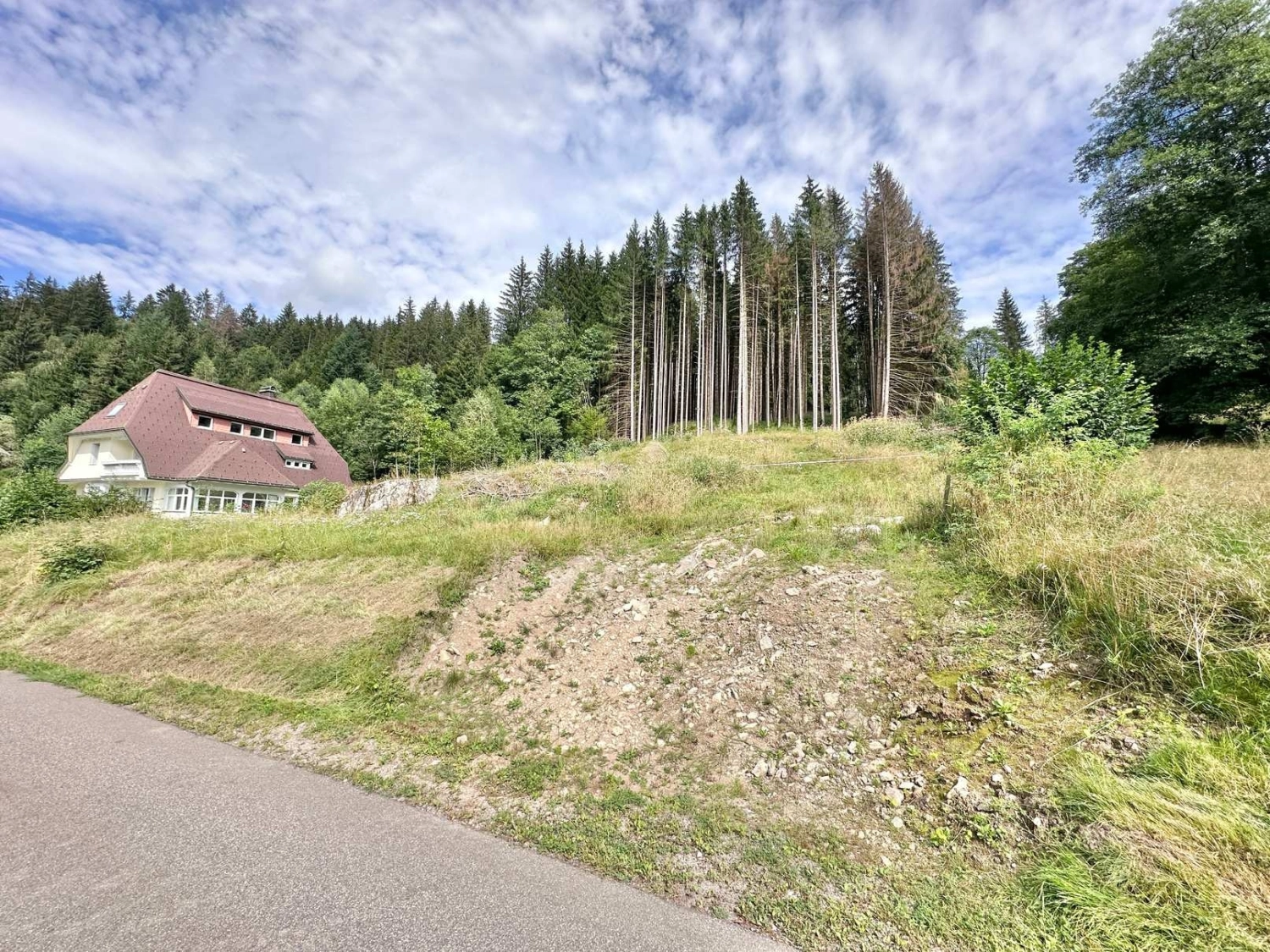  Baugrundstück in St. Blasien von Raum & Zeit Immobilien Treuhand GmbH 