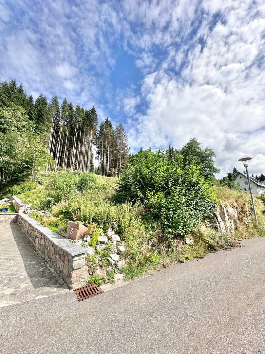  Baugrundstück in St. Blasien von Raum & Zeit Immobilien Treuhand GmbH 